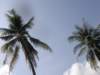 thailand20091085_small.jpg