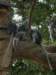 thailand2009108_small.jpg