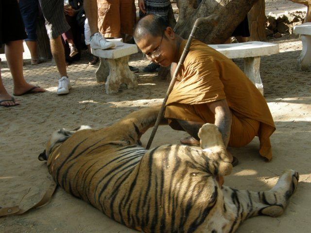 thailand200910104.jpg