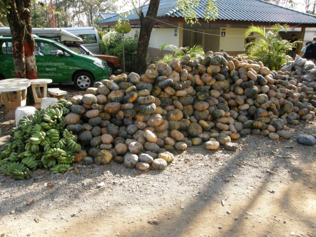 thailand200910115.jpg