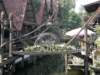 thailand20091040_small.jpg