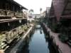 thailand20091043_small.jpg