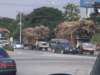 thailand20091048_small.jpg