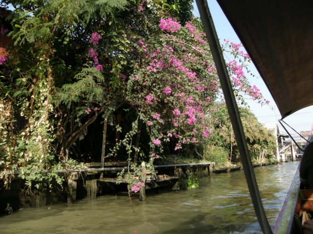 thailand2009106.jpg