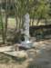 thailand20091081_small.jpg