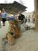 thailand20091085_small.jpg