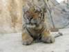 thailand20091088_small.jpg