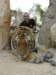 thailand20091090_small.jpg