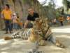 thailand20091091_small.jpg