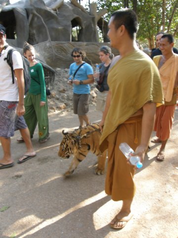 thailand20091095.jpg