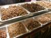 thailand20091014_small.jpg