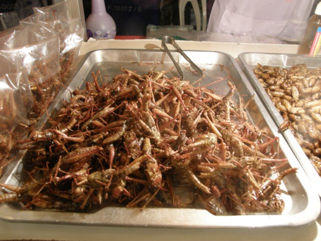 thailand20091015.jpg