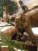 thailand20091019_small.jpg