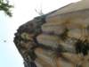 thailand20091037_small.jpg