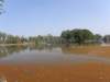 thailand20091042_small.jpg