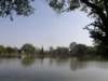 thailand20091050_small.jpg