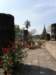 thailand20091069_small.jpg