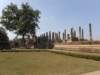 thailand20091076_small.jpg