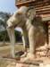 thailand20091082_small.jpg