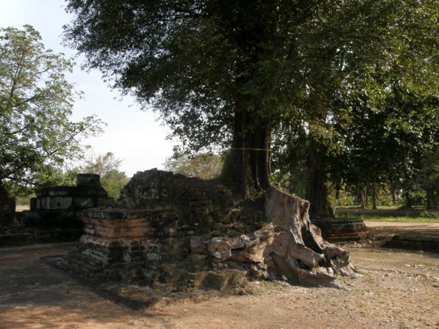 thailand20091096.jpg