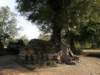 thailand20091096_small.jpg