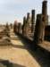 thailand20091098_small.jpg