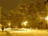 trentounderthesnow67_small.jpg
