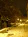 trentounderthesnow70_small.jpg