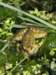 turkey201310_small.jpg