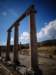 turkey20136_small.jpg