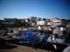 turkey2013100_small.jpg