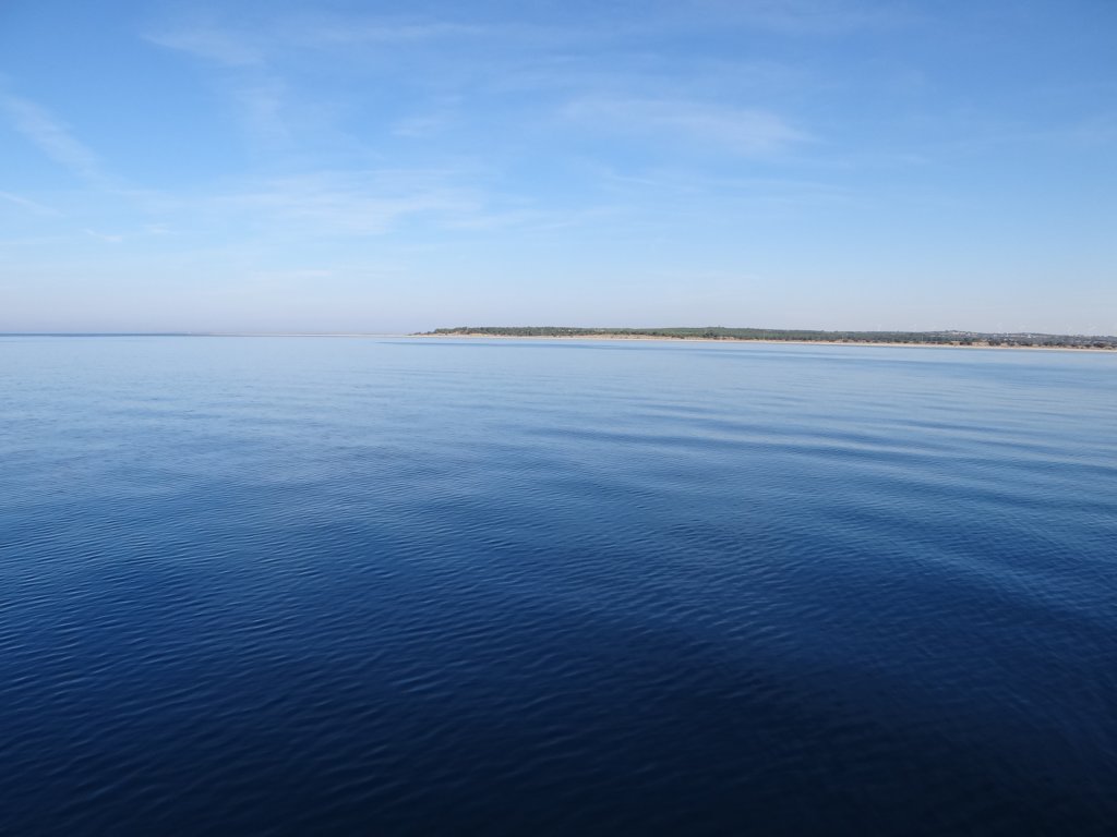 turkey2013109.jpg