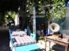 turkey201312_small.jpg