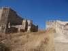 turkey201319_small.jpg