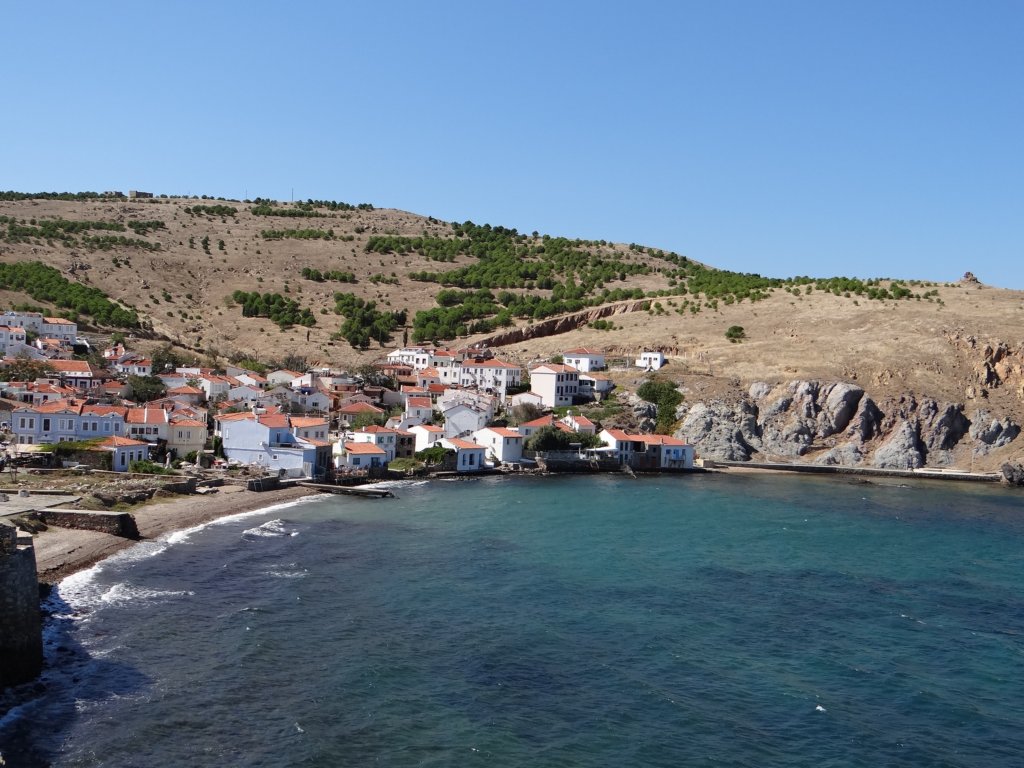 turkey201321.jpg