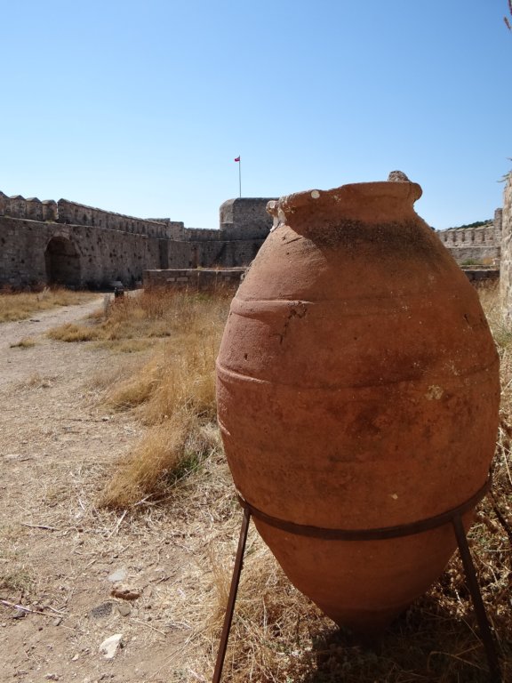 turkey201323.jpg