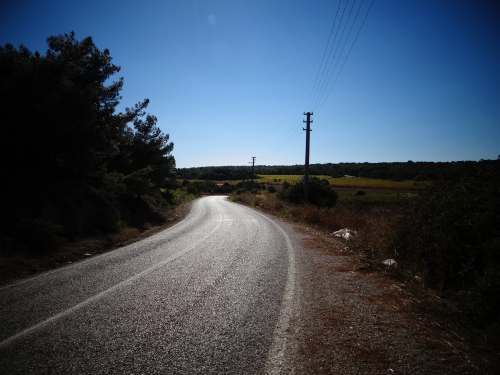 turkey201331.jpg