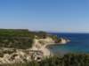 turkey201336_small.jpg