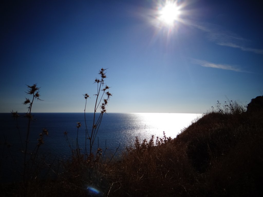 turkey201338.jpg