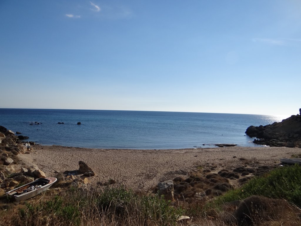 turkey201340.jpg