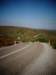turkey201342_small.jpg