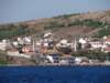 turkey20134_small.jpg