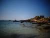 turkey201354_small.jpg