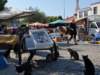 turkey201366_small.jpg