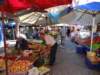 turkey201367_small.jpg