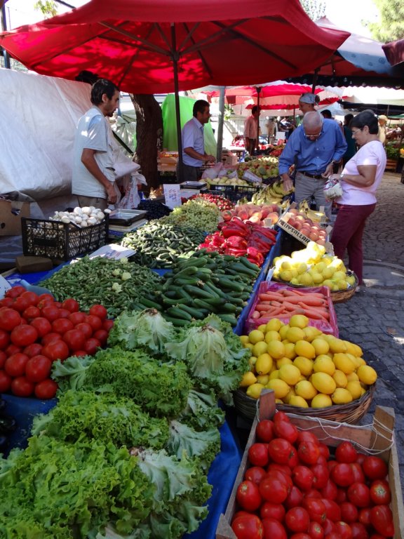 turkey201368.jpg