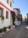 turkey20136_small.jpg