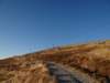 turkey201370_small.jpg