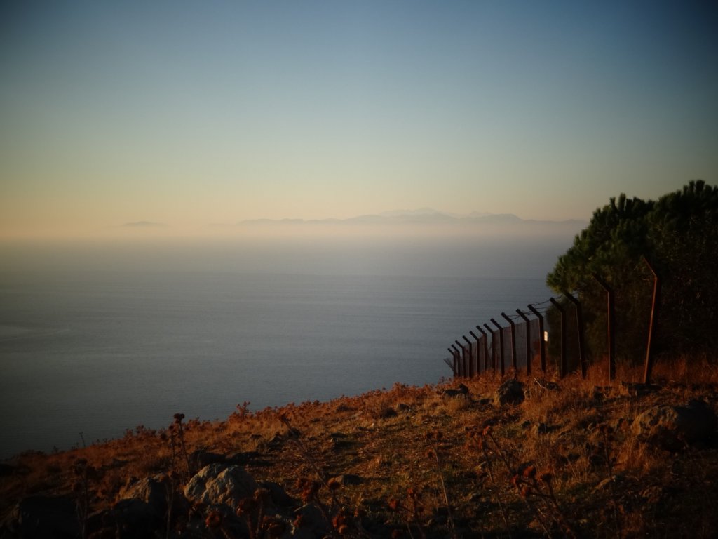 turkey201382.jpg