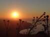 turkey201388_small.jpg